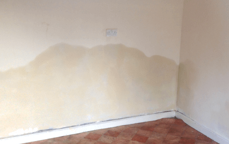 House with damp