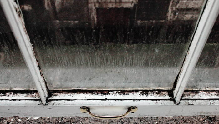 House with damp