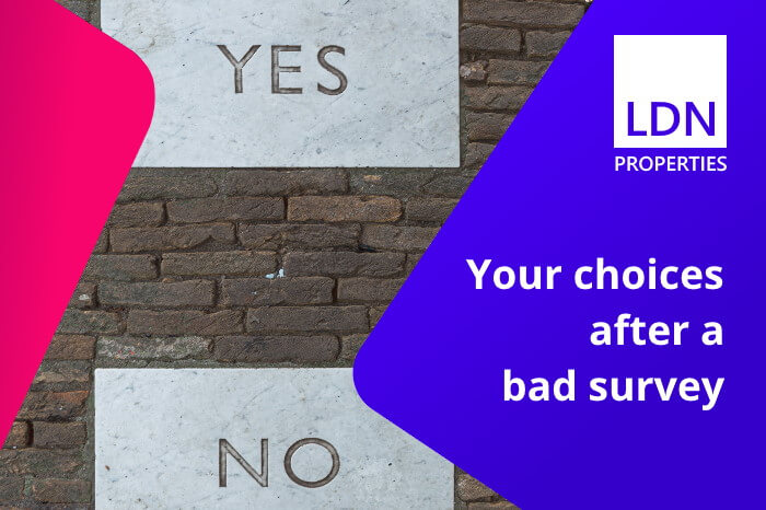 Sale choices after a bad house survey