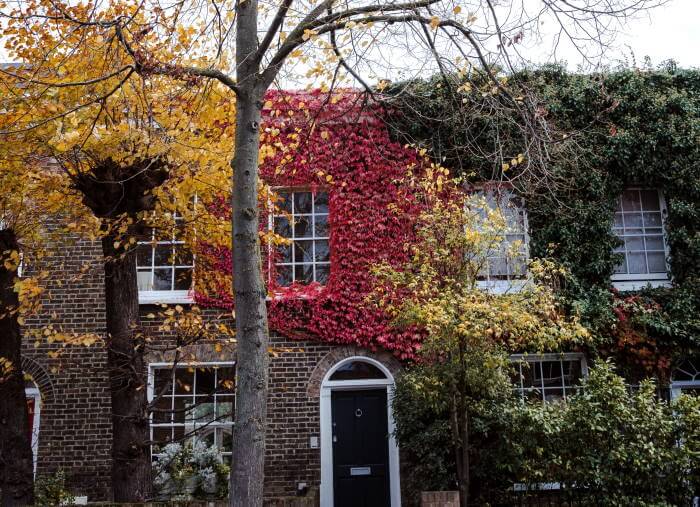 Selling house at auction