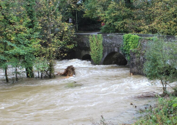 Flood damaged property
