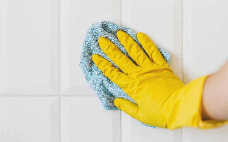 Cleaning a hoarder's house