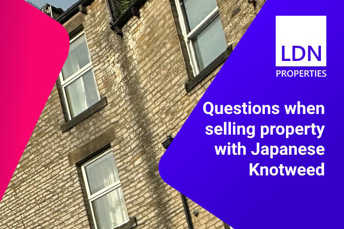 Questions when selling property with Japanese Knotweed