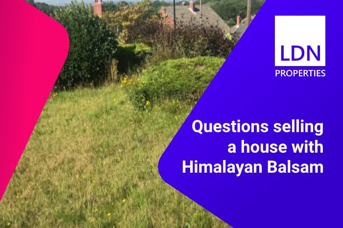 Questions when selling a house with himalayan balsam