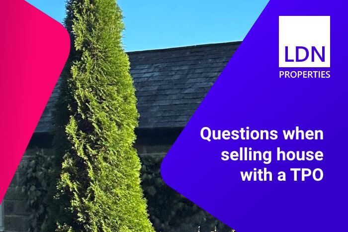 Questions when selling house with a TPO